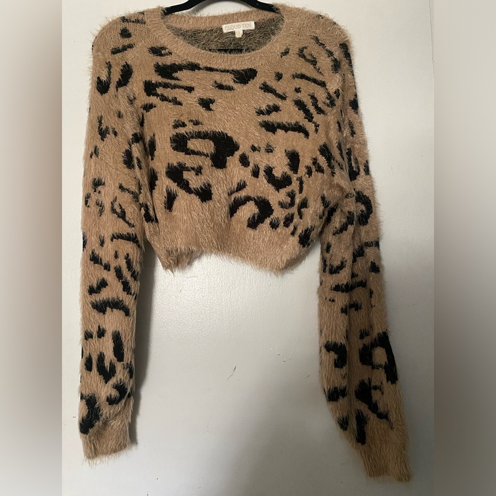 Cropped Cheetah Fuzzy Boutique Sweater